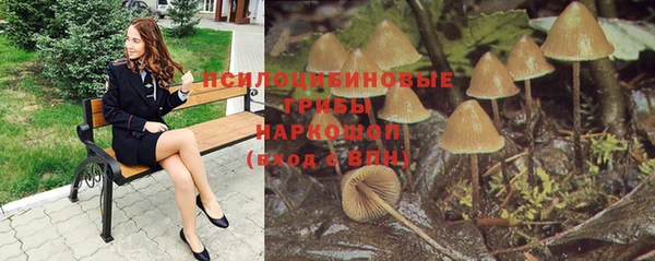 амф Алексин