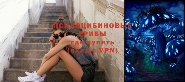 стафф Алексеевка
