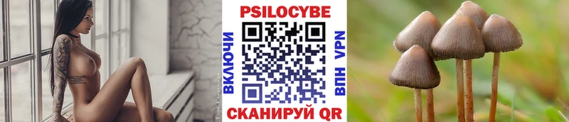 даркнет сайт  Советский  нарко площадка телеграм  Галлюциногенные грибы Magic Shrooms 